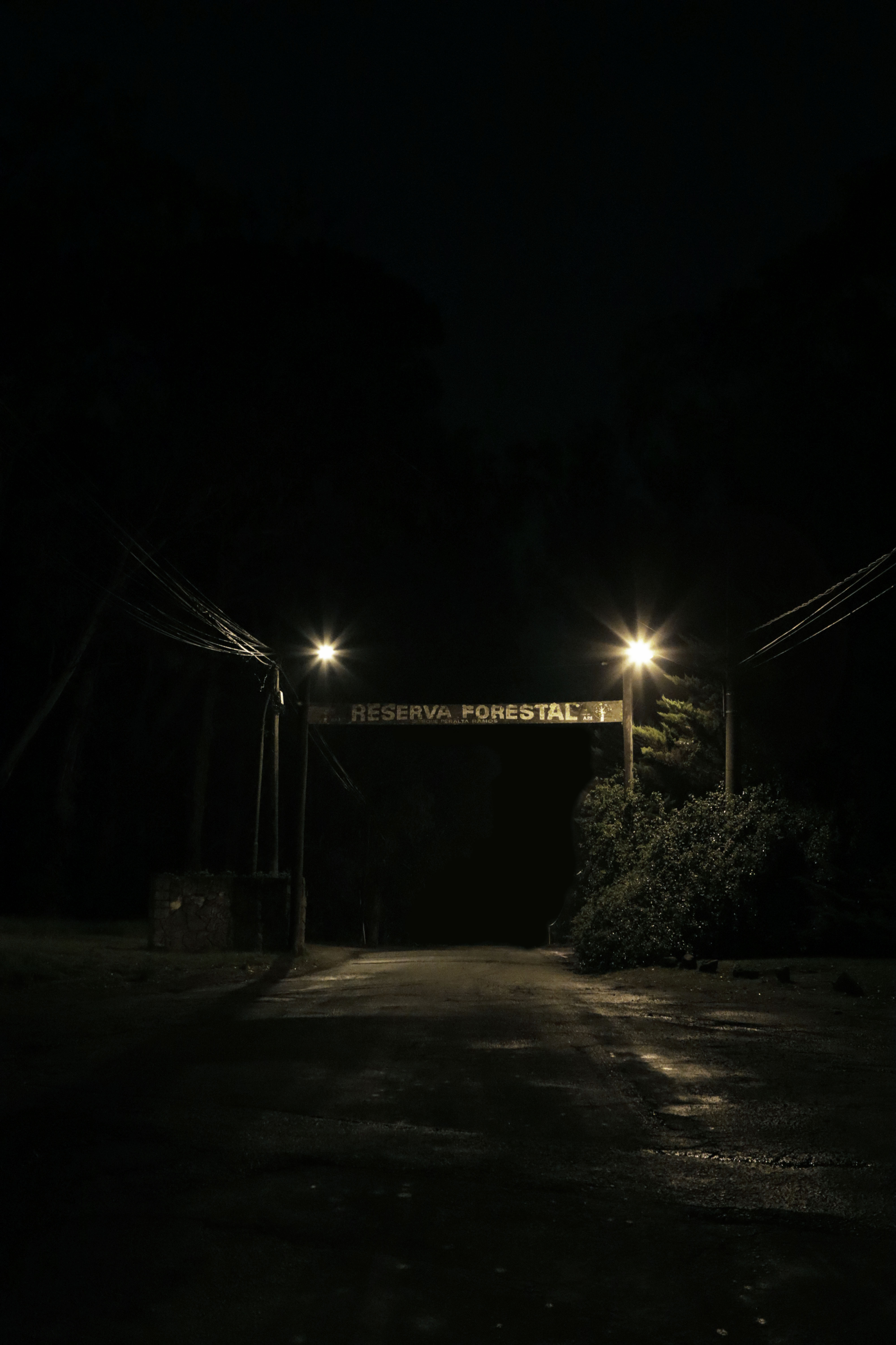 A dark photograph at night of a sign reading "Reserva Forestal"